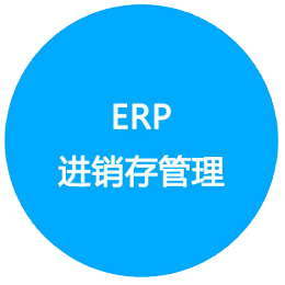 ERP財務(wù)報表